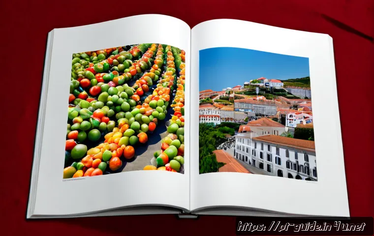 Como escolher um workshop para reforçar competências de guia-intérprete turístico 4 관광통역안내사 전문성 강화를 위한 워크숍 관련 이미지 2